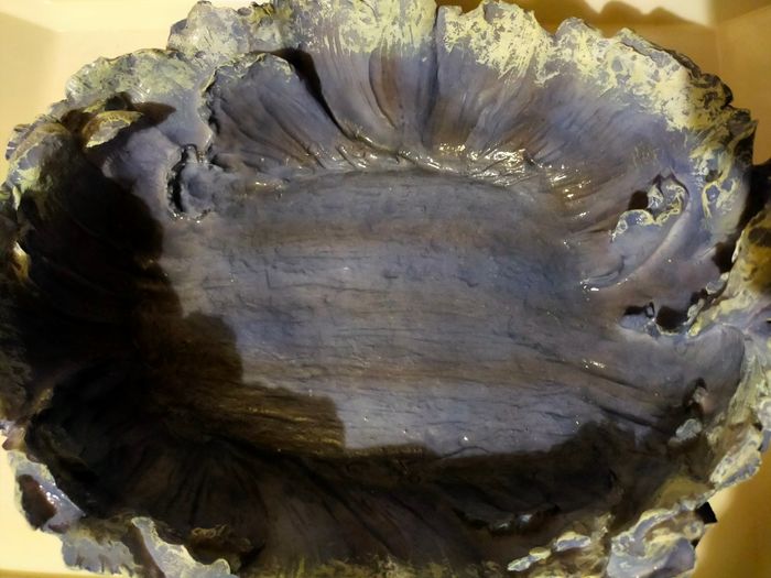 Fontaine à eau - photo numéro 7