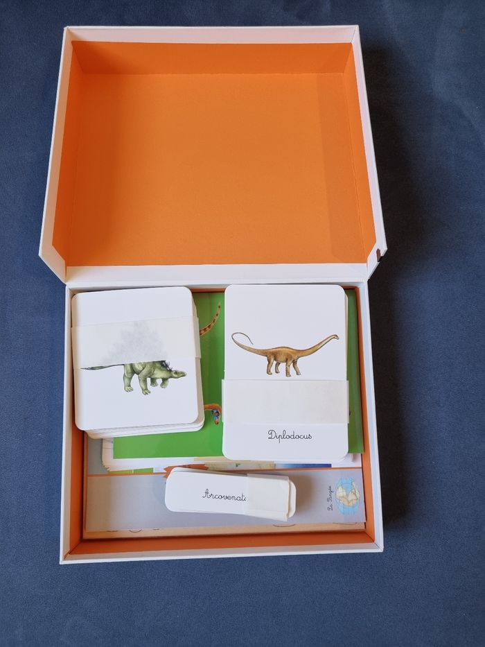 Coffret montessori dinosaures - photo numéro 3