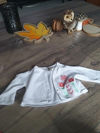 Gilet blanc et fleur