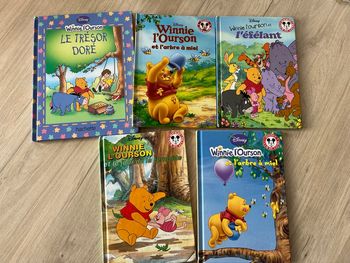 Lot 5 livres Winnie l’ourson