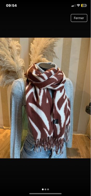 Écharpe zèbre bordeaux et crème