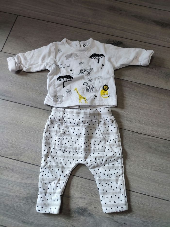 Ensemble safari grain de blé 1 mois
