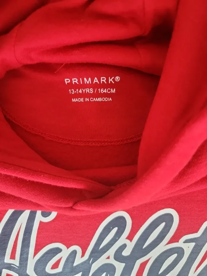 Sweat ml primark 13/14 ans - photo numéro 3