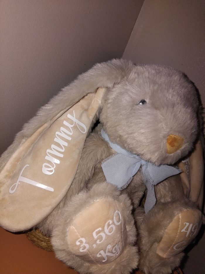 Peluche naissance - photo numéro 3