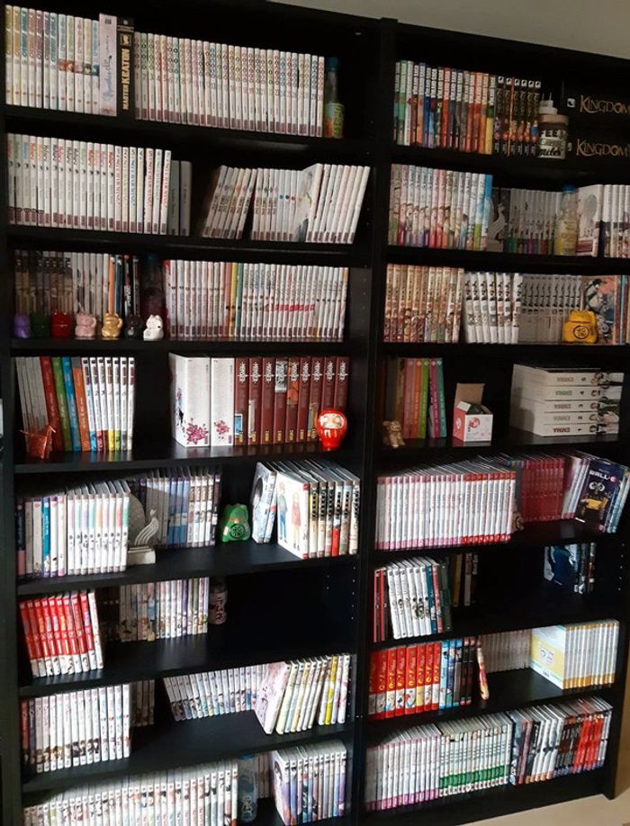 Vends MANGA en Masse