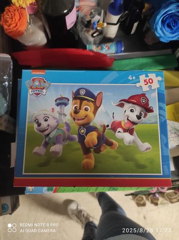 Pat patrouille