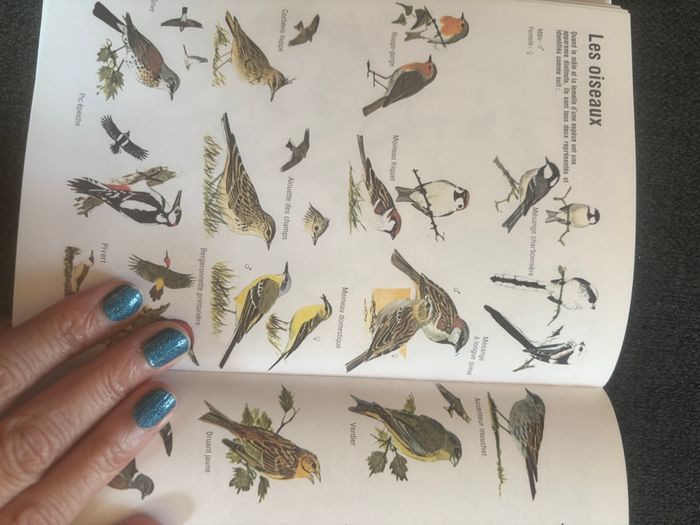Livre réponse à tout - photo numéro 5