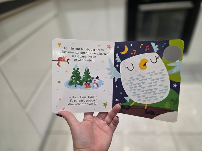 Joue avec des amis de l'hiver - photo numéro 6