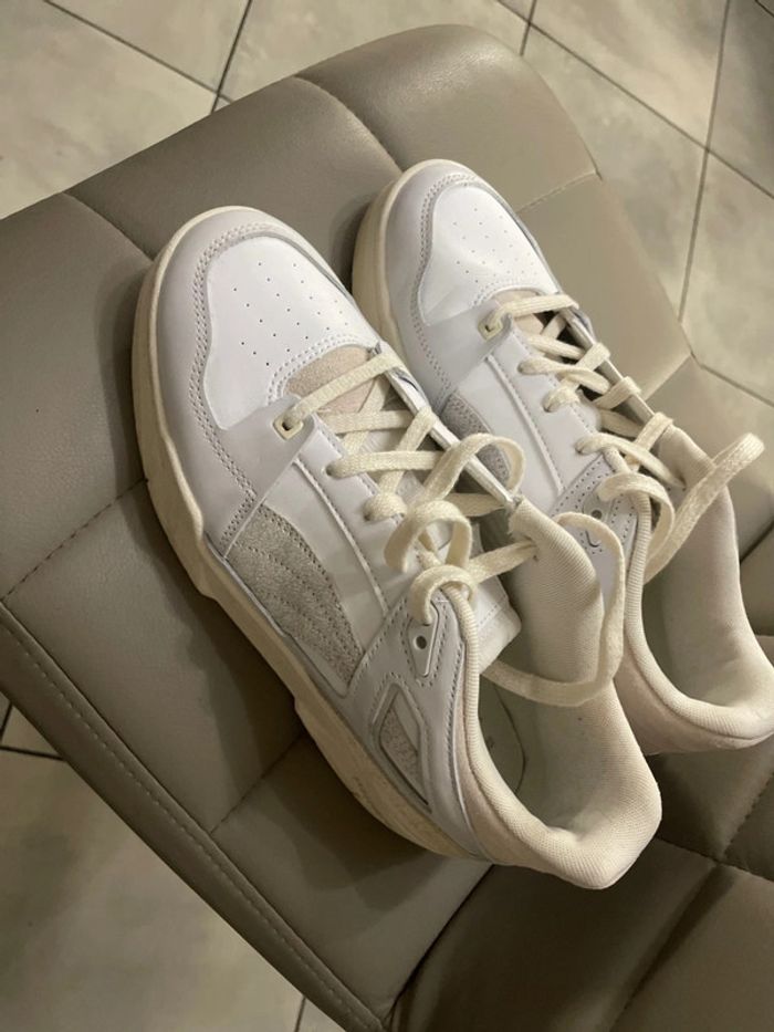 Puma blanche - photo numéro 2