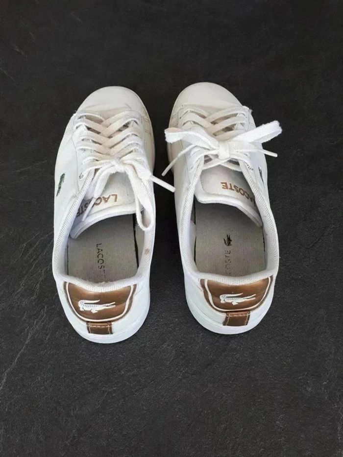 14 € Lacoste Carnaby Junior taille 35 - photo numéro 5