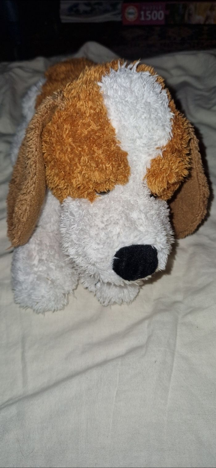 Chien - photo numéro 3