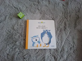 Livre "On joue, petit hibou ?"