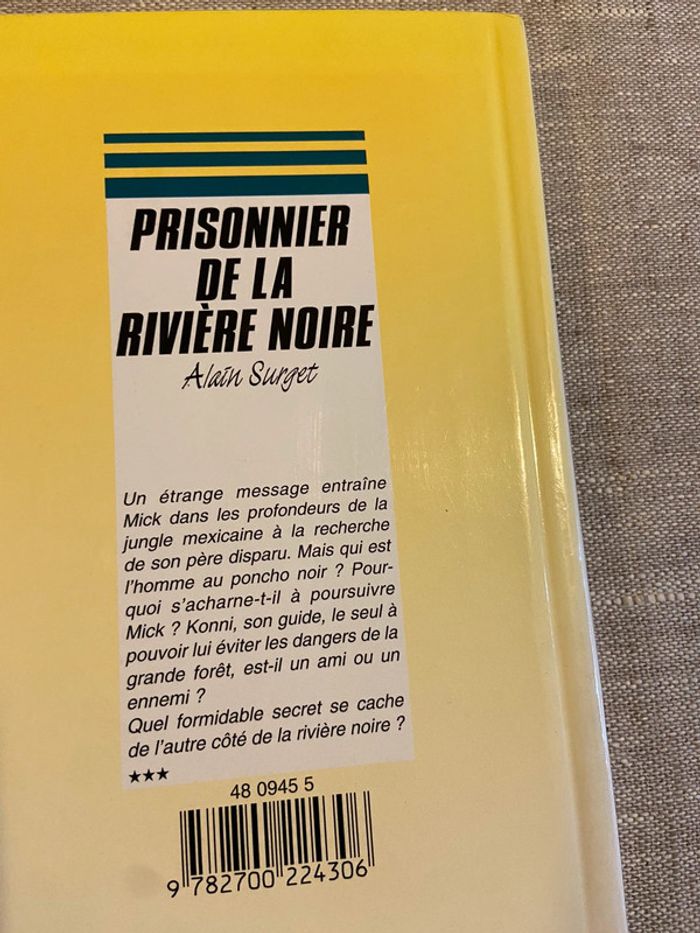 Lot de cinq romans jeunesse lecteurs 10/12 ans - photo numéro 9