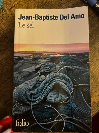 le sel