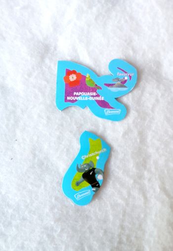 Lot de 2 magnets Océanie Savane Brossard