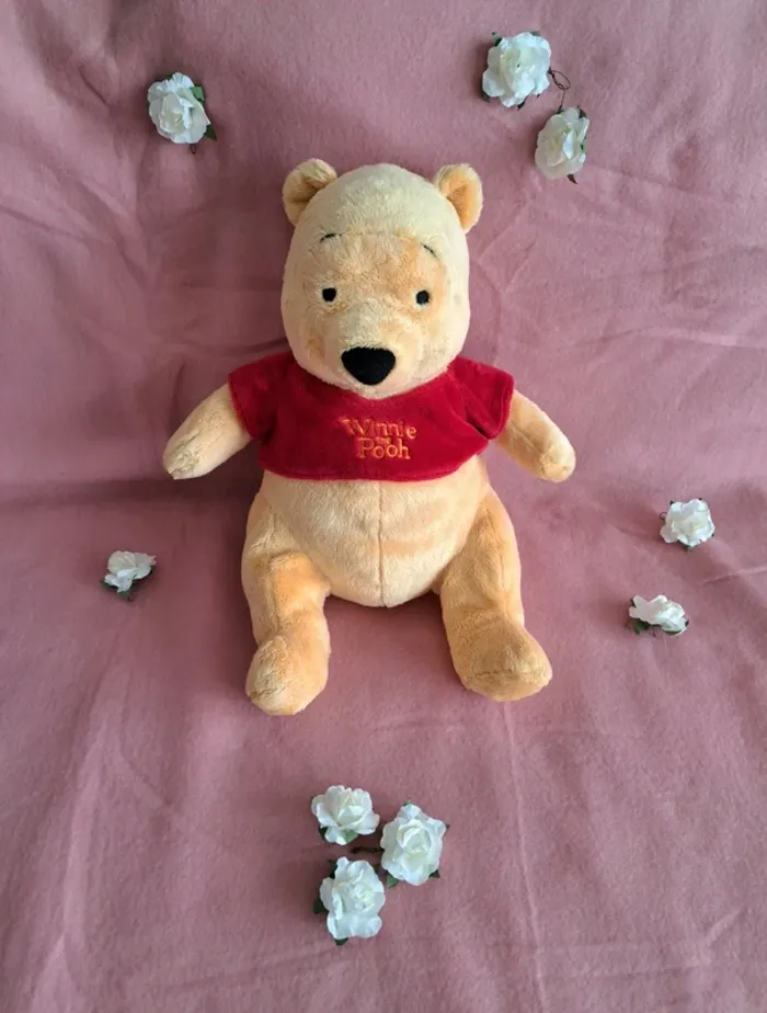 Winnie the pooh peluche disney land