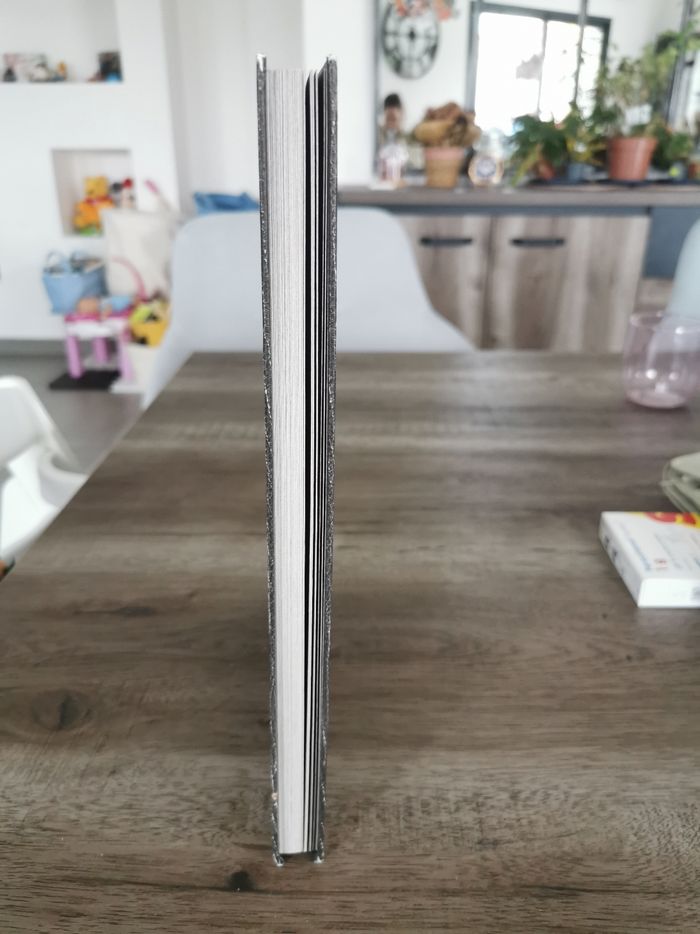 Livre disneyland paris pirates des caraïbes - photo numéro 4