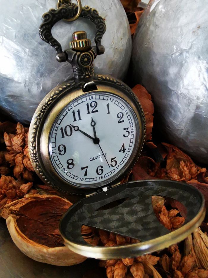 F9 montre rétro vintage originale bronze paris - photo numéro 3