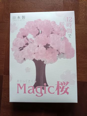Magic Sakura