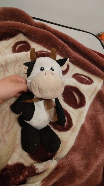 Peluche