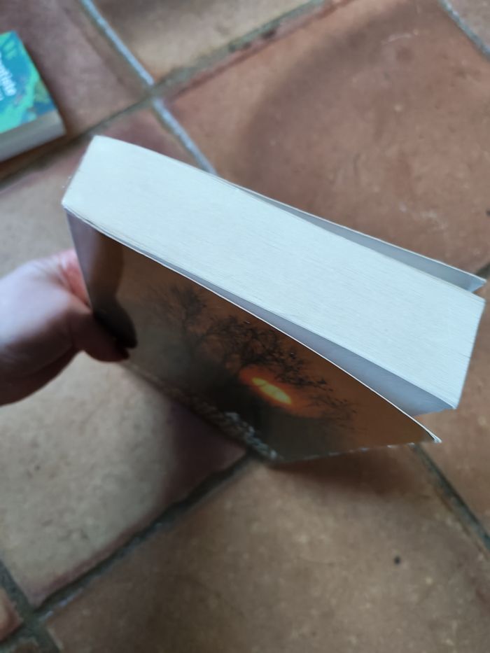 Colleen McCullough, roman Les oiseaux se cachent pour mourrir - photo numéro 5