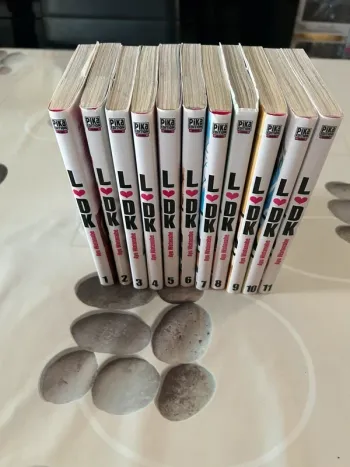Lot de 11 mangas L-DK