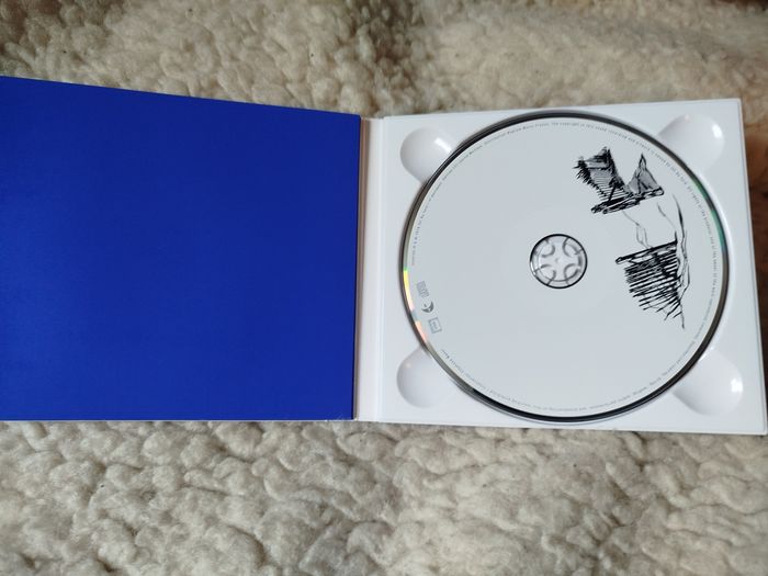 CD Vincent delerm à présent - photo numéro 3