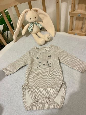 Bodie « petit chat »