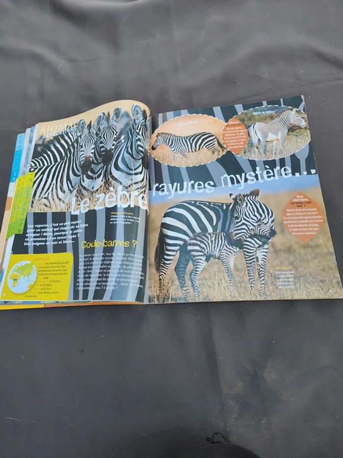 Wapiti quel temps fait il - photo numéro 4