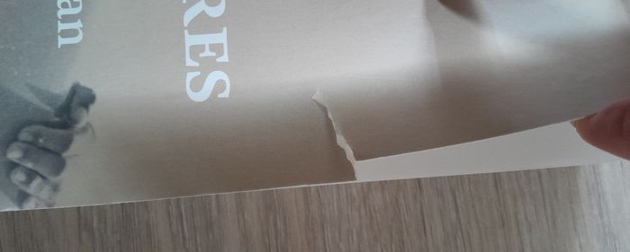 jours barbares - william finnegan (surf) - photo numéro 2