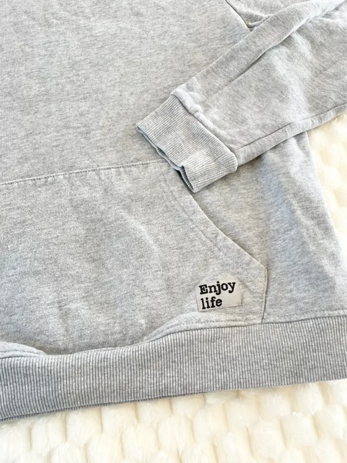 Sweat capuche gris - photo numéro 2