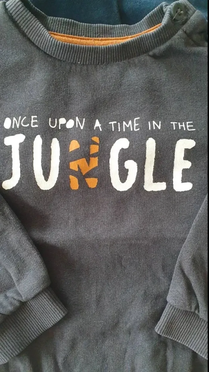 Lot de 2 pulls 24 mois - photo numéro 3