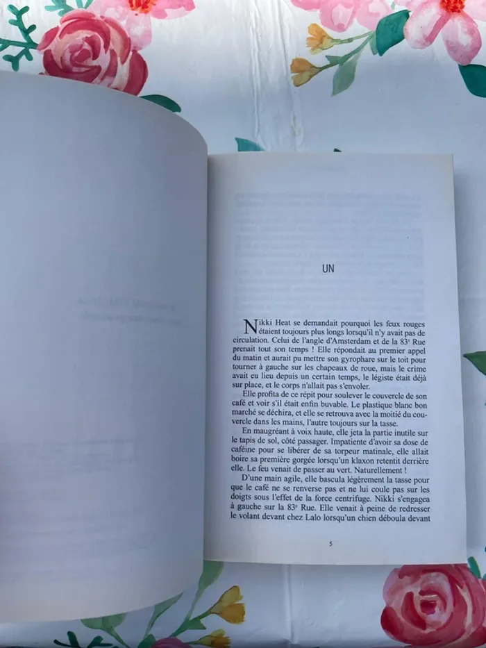 Mise à nu – Richard Castle - photo numéro 3