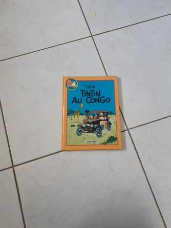 Album double BD tintin