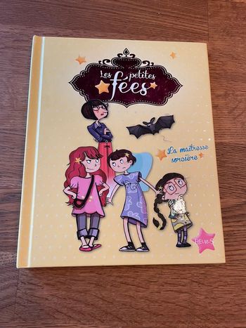 Livre les petites fées La maîtresse sorcière