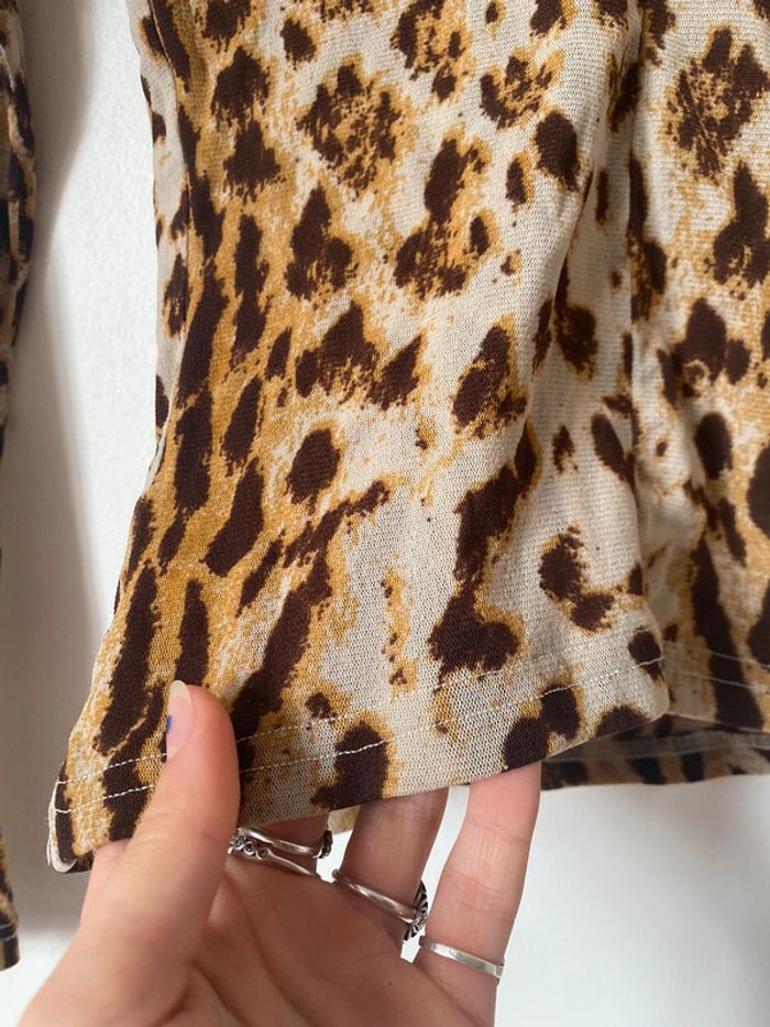 Morgan leopard - photo numéro 2