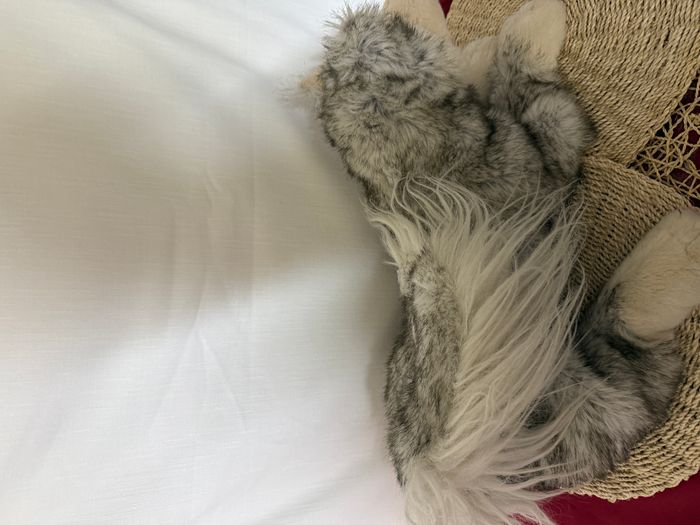 Peluche loup chiné marron gris beige - photo numéro 5