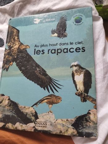 Au plus haut dans le ciel les rapaces