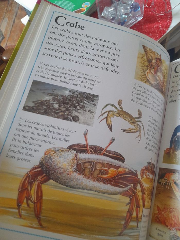 Le grand livre des animaux de A à Z - photo numéro 3