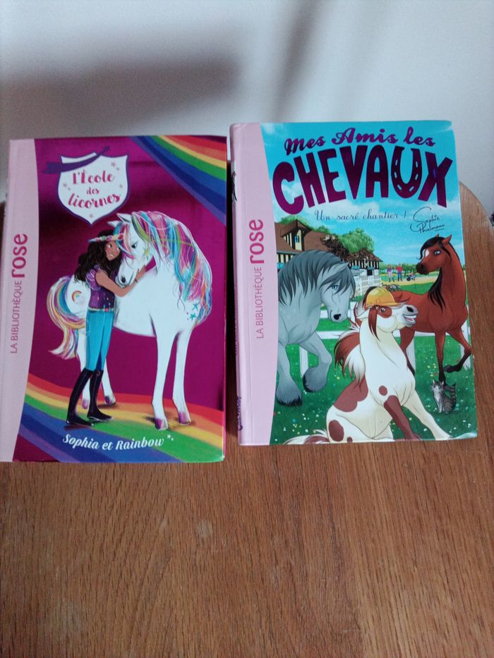 Lot de 2 livres bibliothèque Rose thème cheval
