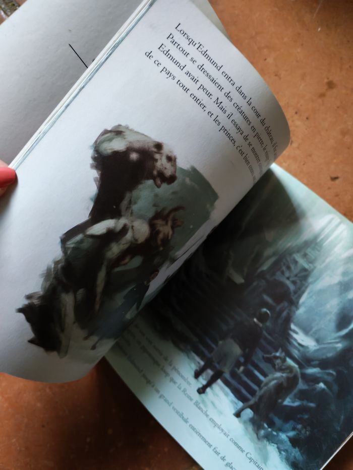 Le Monde de Narnia, chapitre 1 Edmund et la Sorcière Blanche - photo numéro 4