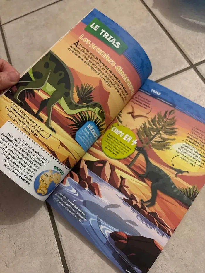 Livres infos activités dinosaures - photo numéro 6