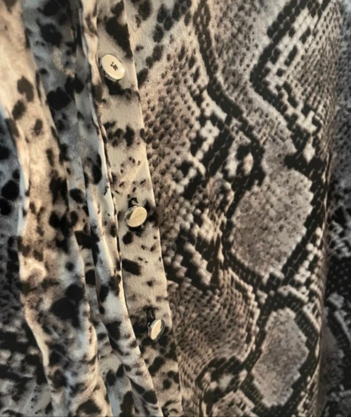 Robe python - photo numéro 3