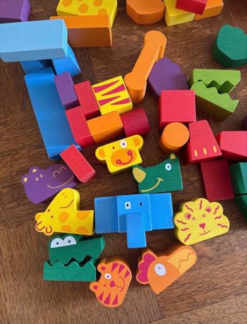 Lot 50 cubes animaux bois À partir 18 mois