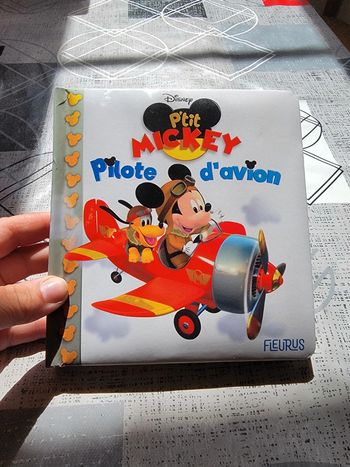 Mickey Pilote d'avion