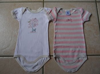 Lot de 2 bodies manches courtes 3 mois 