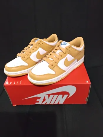 Baskets Nike Dunk
