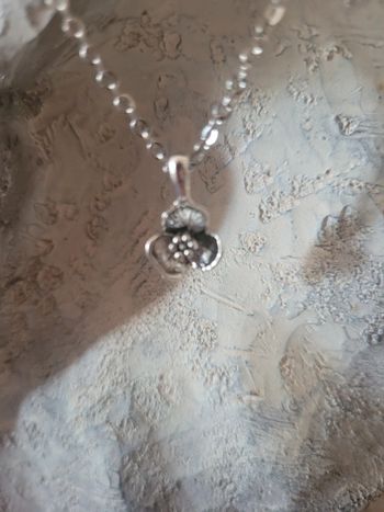 Chaine en acier inoxydable +pendentif