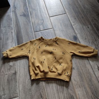 Pull Zara 6-9 mois neuf