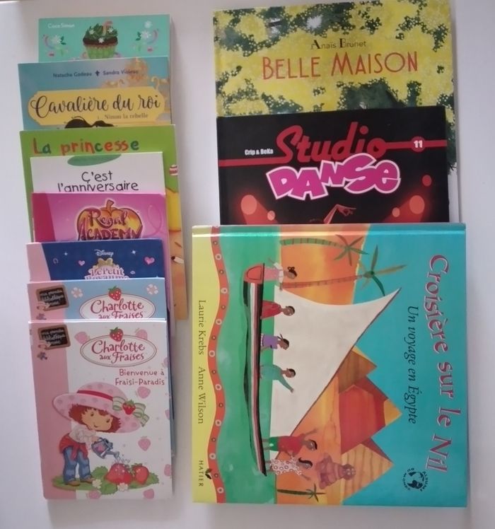 Lot de 11 livres pour enfants